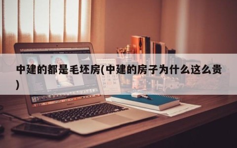 中建的都是毛坯房(中建的房子为什么这么贵)