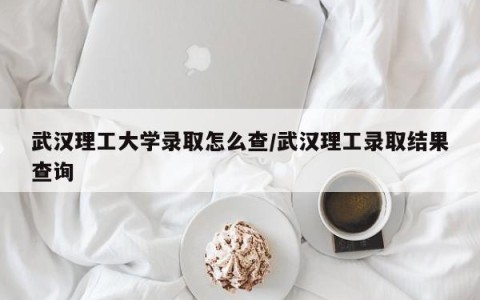 武汉理工大学录取怎么查/武汉理工录取结果查询