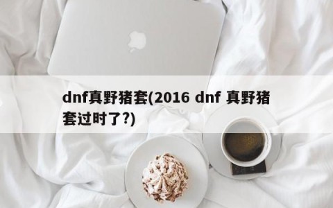 dnf真野猪套(2016 dnf 真野猪套过时了?)