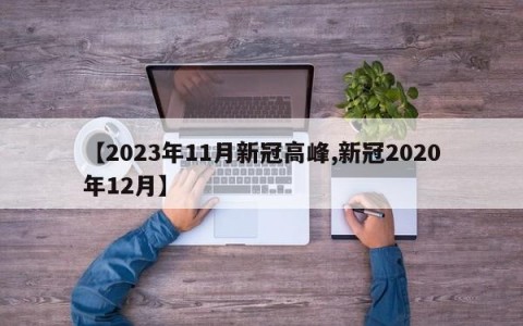 【2023年11月新冠高峰,新冠2020年12月】