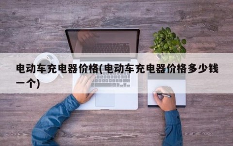 电动车充电器价格(电动车充电器价格多少钱一个)