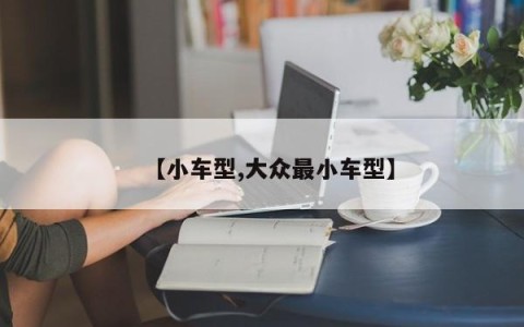 【小车型,大众最小车型】