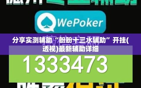 分享实测辅助“盼盼十三水辅助”开挂(透视)最新辅助详细