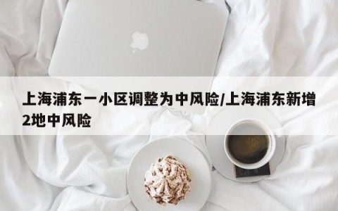 上海浦东一小区调整为中风险/上海浦东新增2地中风险