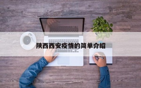 陕西西安疫情的简单介绍