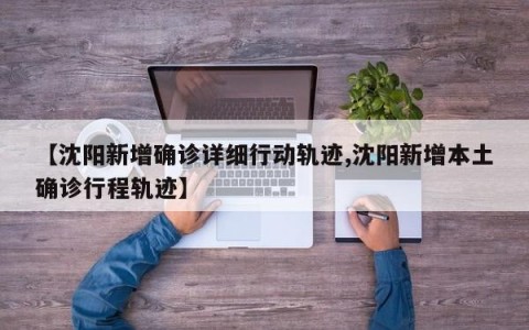 【沈阳新增确诊详细行动轨迹,沈阳新增本土确诊行程轨迹】