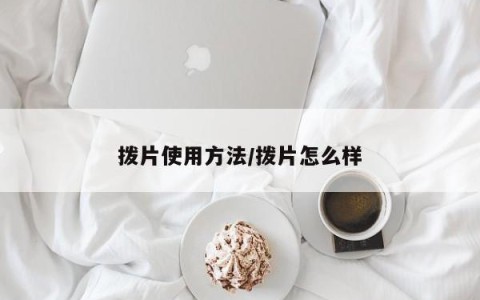 拨片使用方法/拨片怎么样