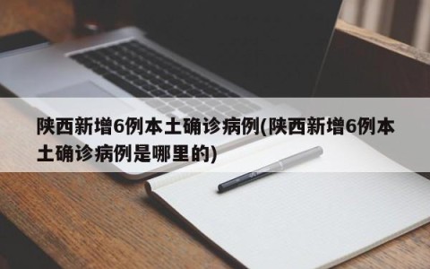 陕西新增6例本土确诊病例(陕西新增6例本土确诊病例是哪里的)