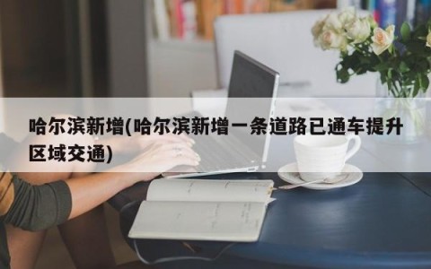 哈尔滨新增(哈尔滨新增一条道路已通车提升区域交通)