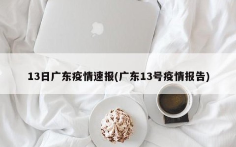 13日广东疫情速报(广东13号疫情报告)