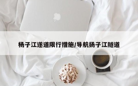 杨子江遂道限行措施/导航扬子江隧道