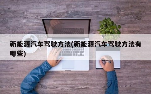 新能源汽车驾驶方法(新能源汽车驾驶方法有哪些)