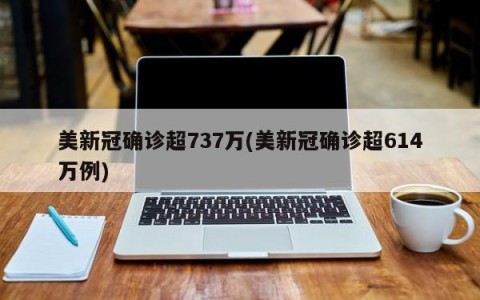 美新冠确诊超737万(美新冠确诊超614万例)