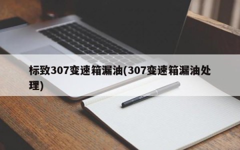 标致307变速箱漏油(307变速箱漏油处理)