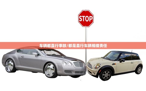 车辆都直行事故/都是直行车辆相撞责任