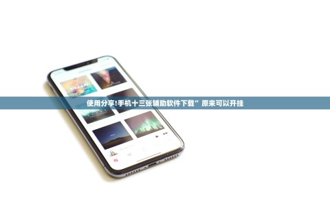 使用分享!手机十三张辅助软件下载”原来可以开挂