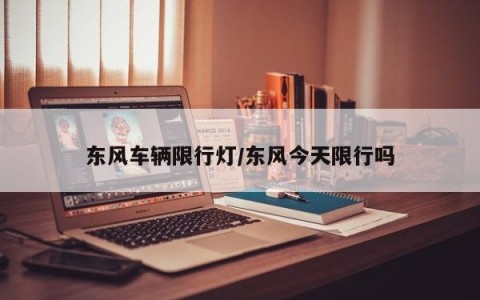 东风车辆限行灯/东风今天限行吗