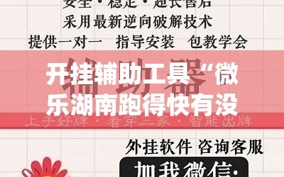 开挂辅助工具“微乐湖南跑得快有没有开挂神器”开挂(透视)辅助神器