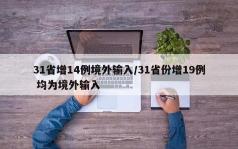 31省增14例境外输入/31省份增19例 均为境外输入