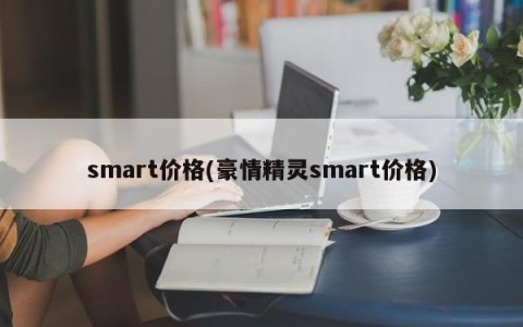 smart价格(豪情精灵smart价格)