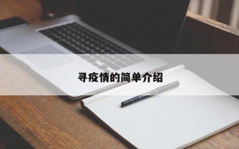 寻疫情的简单介绍