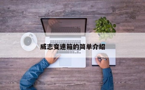威志变速箱的简单介绍
