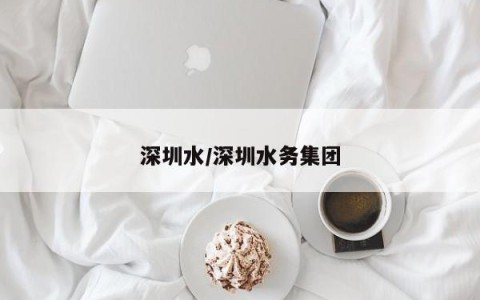 深圳水/深圳水务集团