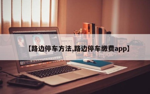 【路边停车方法,路边停车缴费app】