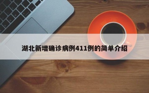 湖北新增确诊病例411例的简单介绍