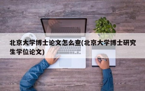 北京大学博士论文怎么查(北京大学博士研究生学位论文)