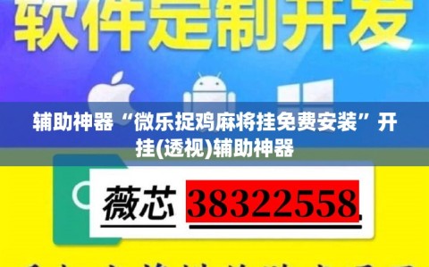 辅助神器“微乐捉鸡麻将挂免费安装”开挂(透视)辅助神器