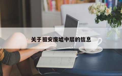 关于祖安废墟中层的信息