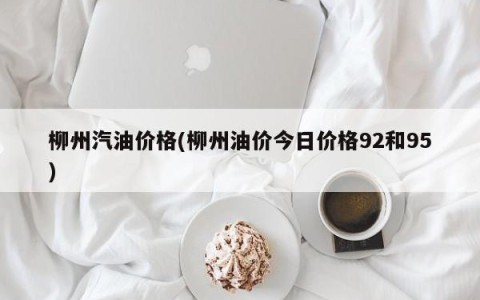 柳州汽油价格(柳州油价今日价格92和95)