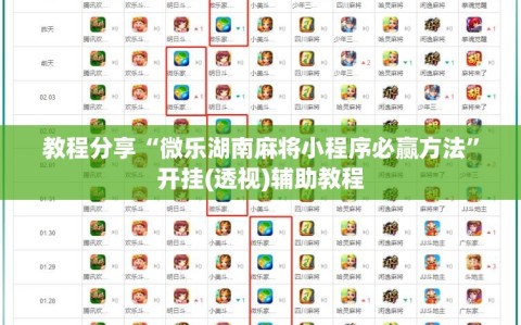 教程分享“微乐湖南麻将小程序必赢方法”开挂(透视)辅助教程