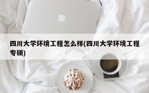四川大学环境工程怎么样(四川大学环境工程专硕)