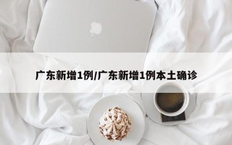 广东新增1例/广东新增1例本土确诊
