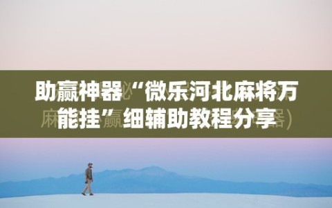 助赢神器“微乐河北麻将万能挂”细辅助教程分享