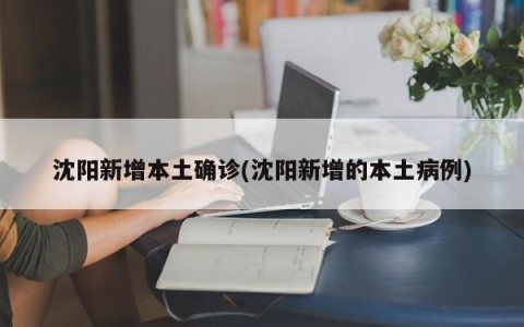 沈阳新增本土确诊(沈阳新增的本土病例)