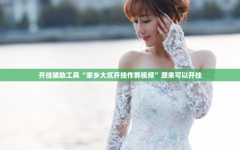 开挂辅助工具“家乡大贰开挂作弊视频”原来可以开挂