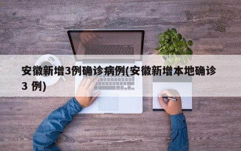 安徽新增3例确诊病例(安徽新增本地确诊 3 例)