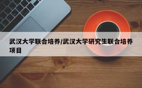 武汉大学联合培养/武汉大学研究生联合培养项目