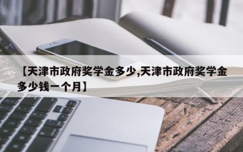 【天津市政府奖学金多少,天津市政府奖学金多少钱一个月】