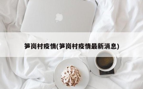 笋岗村疫情(笋岗村疫情最新消息)