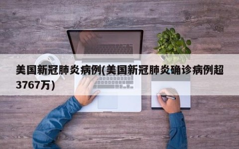 美国新冠肺炎病例(美国新冠肺炎确诊病例超3767万)