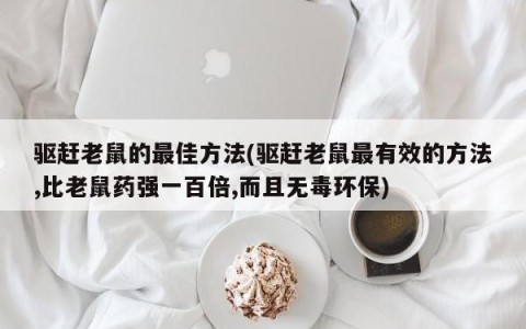 驱赶老鼠的最佳方法(驱赶老鼠最有效的方法,比老鼠药强一百倍,而且无毒环保)