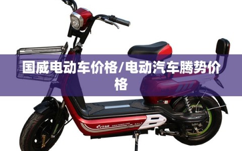 国威电动车价格/电动汽车腾势价格