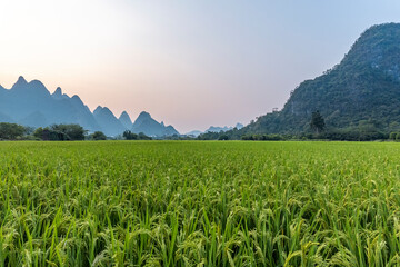 玩家必读“山西扣点点麻将挂试用一天”开挂辅助脚本+详细开挂