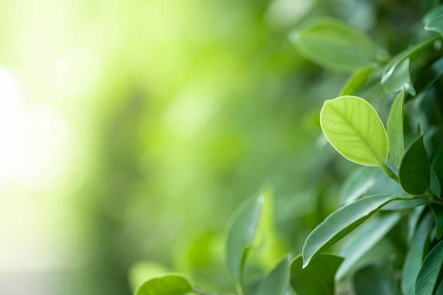 教程更新!：嘟嘟十三张可以开挂吗”(免费)开挂辅助教学(最新辅助开挂教程)