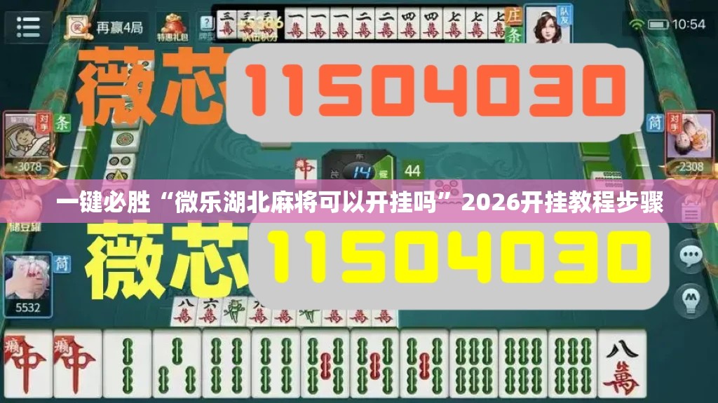 一键必胜“微乐湖北麻将可以开挂吗”2026开挂教程步骤